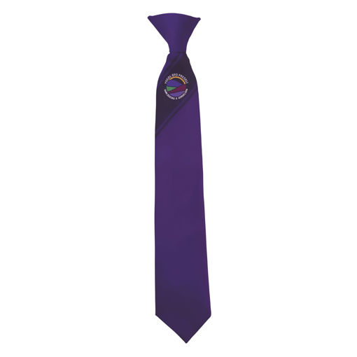 Picture of Bro Preseli Years 7 to 11 Clip on Tie